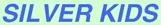 �V���o�[�L�b�Y