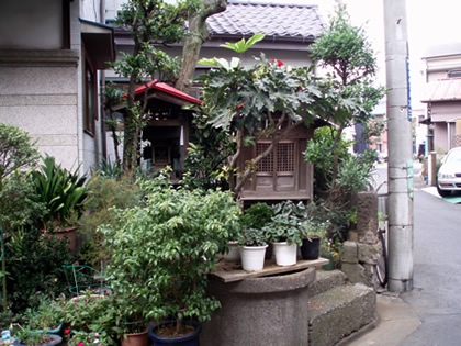 写真